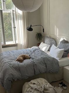 a dog laying on top of a bed in a bedroom next to a large window