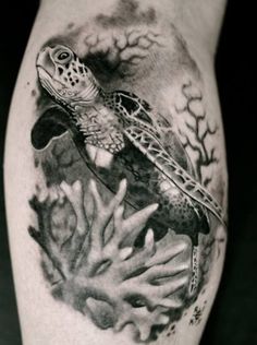 a black and white photo of a sea turtle with corals on it's leg