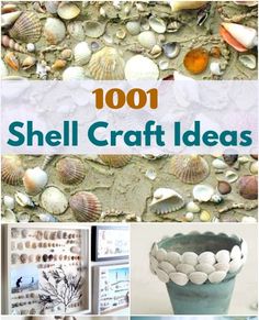 there are pictures of shells on the wall and in vases, with text overlay that reads 100 shell craft ideas