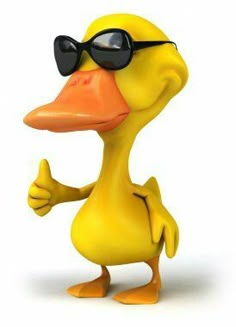 Duck With Sunglasses, Cool Duck, Sunglasses Aesthetic, Wallpaper Animes, Black Panther Marvel, Silly Images, Rock Posters