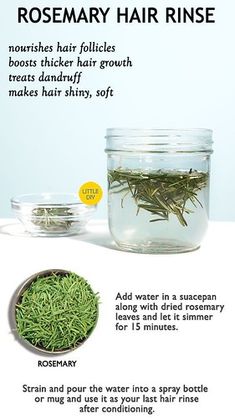 Thick Hair Growth, Hormonal Balance, Rosemary Leaves, Hair Rinse, How To Dry Rosemary, Diy Hair Care, Hydrate Hair, Hair Solutions