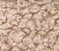 closeup of the texture of a woolen sheep's fur, with white and beige colors