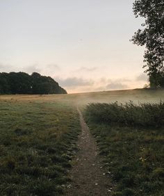 a dirt path in the middle of a grassy field with trees and fog on it