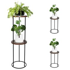 three tiered plant stands with plants on them and one holding a potted plant