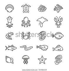 sea animals and fish line icons