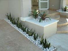 a house with some plants and rocks in the front yard