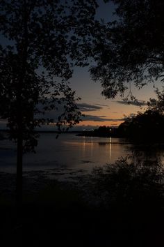 the sun is setting over the water and trees are silhouetted against the dark sky