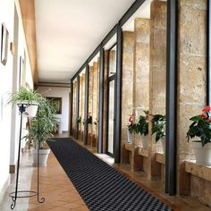 a long hallway with potted plants on either side of the wall and an area rug