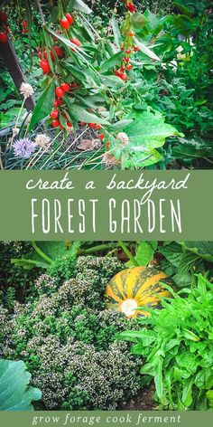 the words create a backyard forest garden are in front of an image of plants and flowers