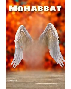 two white angel wings with the words mohabbat in front of an orange background