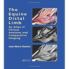 the equine distat limb an atlas of clinicy and comparaative imagiging