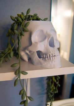 a fake skull sitting on top of a white shelf next to a green twig