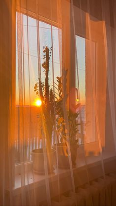 the sun is setting behind sheer curtains in front of a window with potted plants