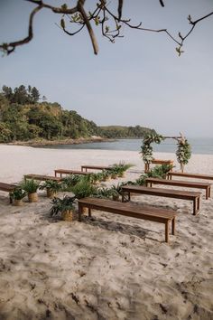 benches on the beach with plants and trees