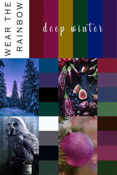 a collage of different pictures with the words deep winter