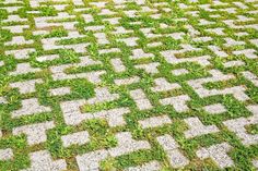 the green grass is growing on the stone pavement in front of the building with white and gray squares