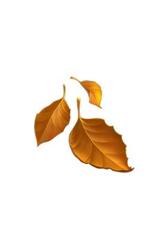 two yellow leaves on a white background with one falling off the leaf to the side