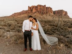 a newly married couple standing in the desert