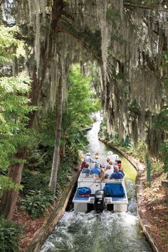 several people are riding in a boat down a narrow river with trees hanging over it