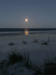 the sun is setting over the ocean and beach with grass in front of it,