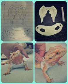 several pictures of different types of animals in the process of making their own sculptures and drawings