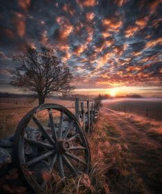 an old wagon wheel sitting on the side of a road next to a tree and fence