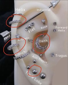 there are many different types of ear piercings on this white object with red circles around them