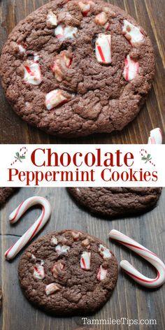 chocolate peppermint cookies with candy canes on top and the title above it