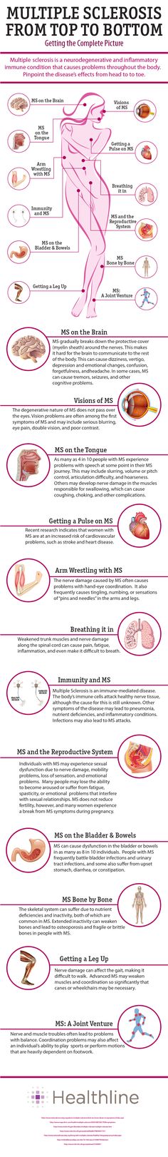 Ms Project, Ms Symptoms, Ms Awareness, Multiple Sclerosis Awareness, Medical Information, Autoimmune Disease, Top To Bottom
