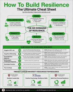 the ultimate guide to building resilince in your home or office - infograph