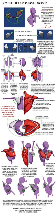 the diagram shows how to make an airplane