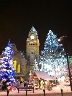 christmas trees are lit up in front of a church