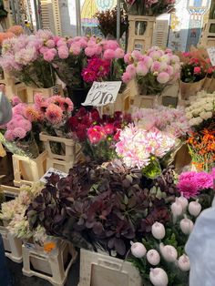 many different types of flowers are on display