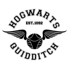 harry's quidditch logo with wings on the front and back of it