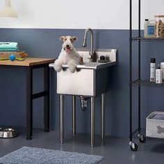 a white dog sitting in a sink next to a wooden table