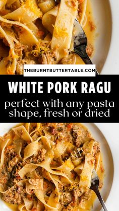 white pork ragu with pasta and fresh or dried parmesan cheese on the side