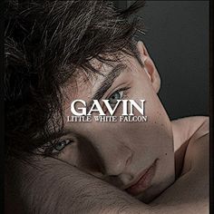 the cover art for gavin's album little white falcon