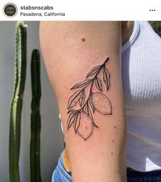 an olive branch tattoo on the right arm