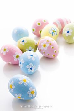 colorful painted easter eggs lined up on a white surface with daisies in the middle