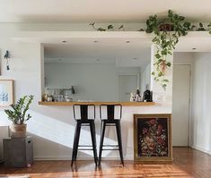 two stools in front of a bar with plants on it