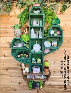 a green shelf filled with lots of different items