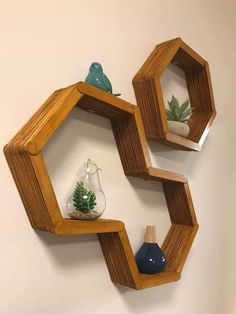 two hexagonal wooden shelves with plants and vases in them on the wall