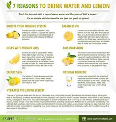 Water lemons benefits Benefits Of Drinking Water, Lose 20 Pounds