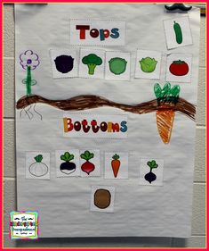 a bulletin board with carrots, broccoli, and other vegetables on it