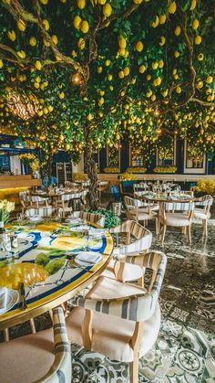 an outdoor dining area with tables and chairs under a tree full of lemons hanging from the ceiling