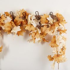 an arrangement of dry leaves hanging on a wall