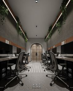 an office space with desks and chairs in it, along with plants hanging from the ceiling