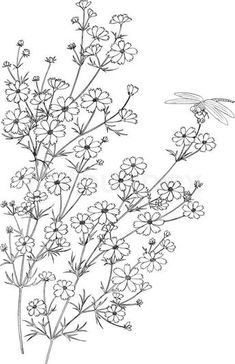 a black and white drawing of flowers with a humming flying by it's side