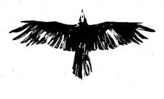 a black and white drawing of a bird with its wings spread out in the air