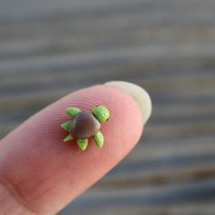 a tiny toy turtle sitting on top of a finger